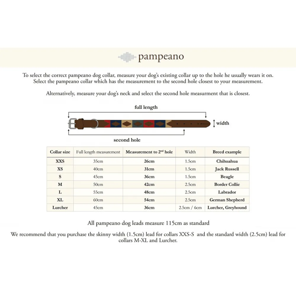 Leather Dog Collar Caza by Pampeano